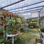 Terreno à venda em Vila Pirajussara, São Paulo, SP