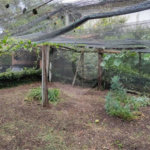 Chácara à venda com 5 quartos, sendo 2 suítes, no Centro, Piracaia, SP