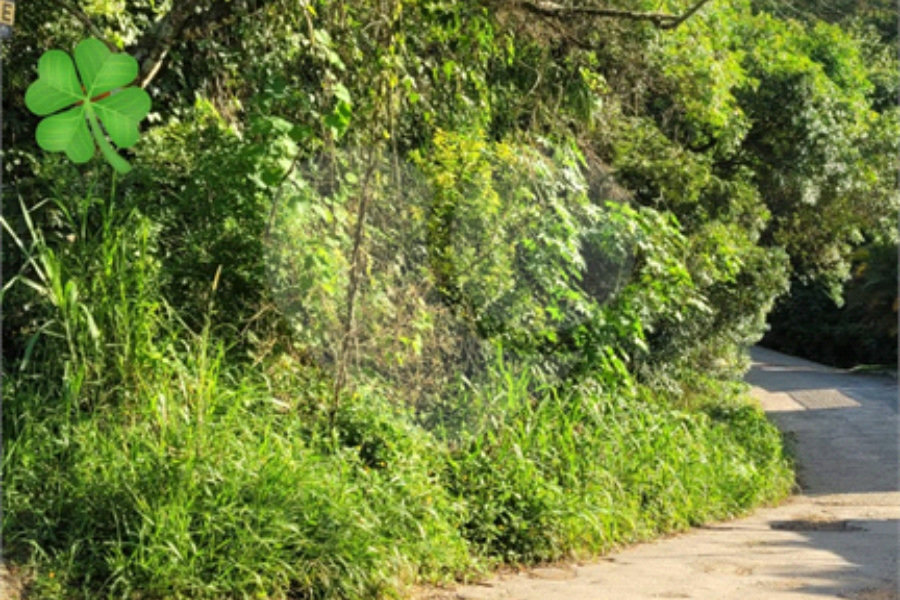 Loteamento à venda em Canjica (terra Preta), Mairiporã, SP
