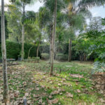 Sobrado à venda com 5 quartos, sendo 4 suítes, em Alto da Boa Vista, São Paulo, SP