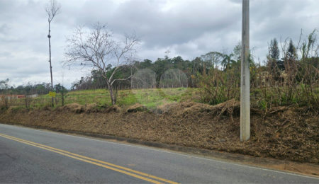 Sítio à venda em Cocuera, Mogi das Cruzes, SP