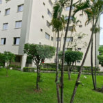 Apartamento à venda ou para alugar com 2 quartos em Mandaqui, São Paulo, SP