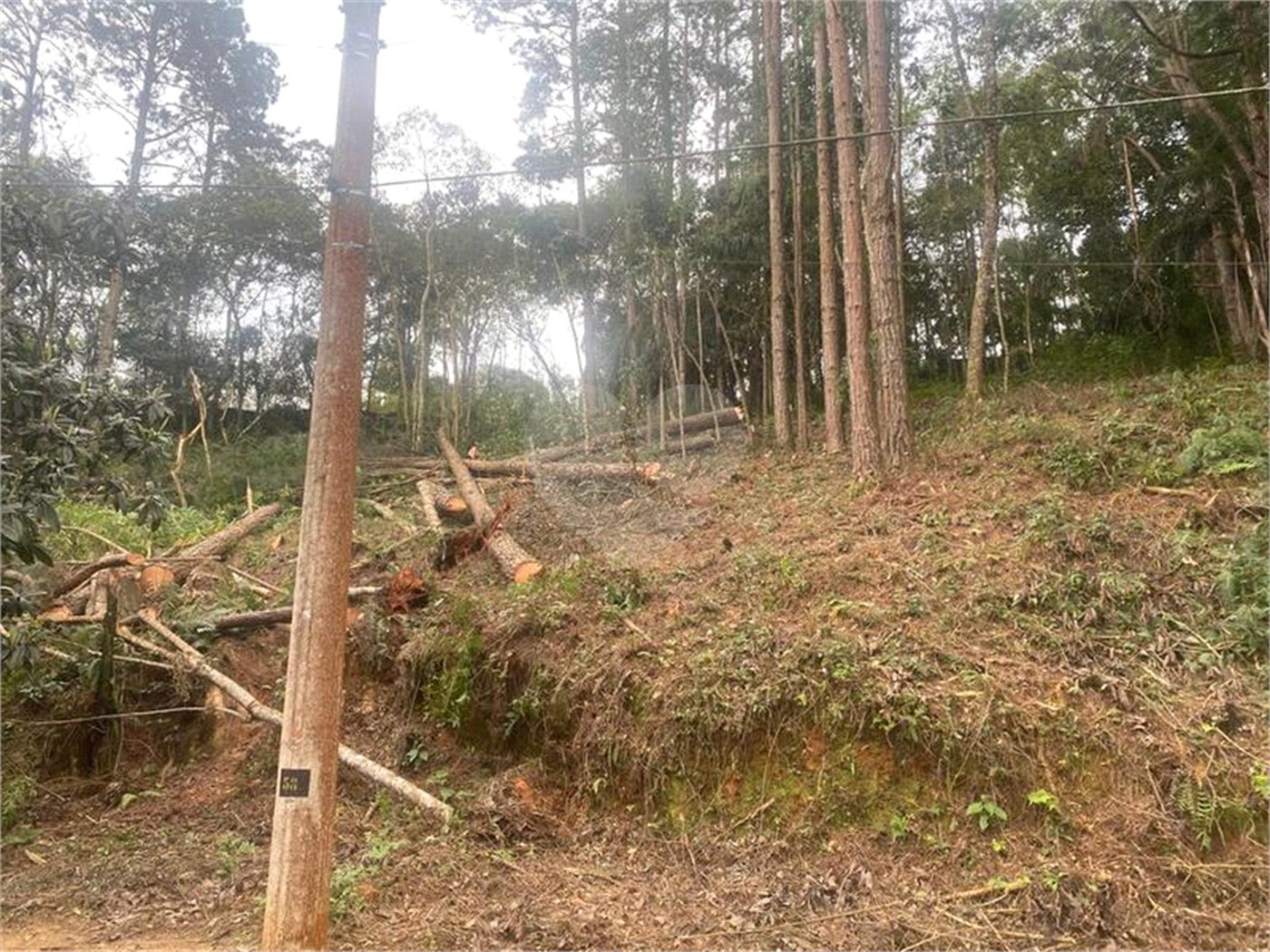 Terreno à venda no Centro (mailasqui), São Roque, SP
