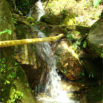 Fazenda à venda com 7 quartos, sendo 3 suítes, em Professor Souza, Casimiro de Abreu, RJ