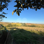 Sítio à venda com 3 quartos, sendo 1 suíte,  em Canta Galo, Itapetininga, SP
