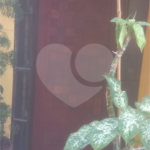Casa à venda com 3 quartos, sendo 1 suíte,  em Vila Augusta, Guarulhos, SP