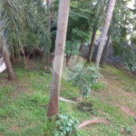 Apartamento para alugar com 3 quartos, sendo 1 suíte, em Santana, São Paulo, SP