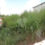 Terreno à venda em Jardim Planalto, Valinhos, SP