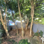 Casa à venda com 4 quartos, sendo 1 suíte,  em Tremembé, São Paulo, SP