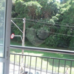 Apartamento à venda com 2 quartos em Mandaqui, São Paulo, SP