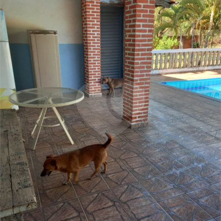 Chácara à venda com 3 quartos, sendo 1 suíte,  em Loteamento Aracê de Santo Antonio I, São Carlos, SP
