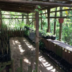 Casa à venda com 4 quartos, sendo 2 suítes,  no condomínio Granja Vianna II, Cotia - SP