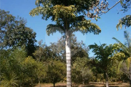 Chácara para venda no Aracê de Santo Antonio I
