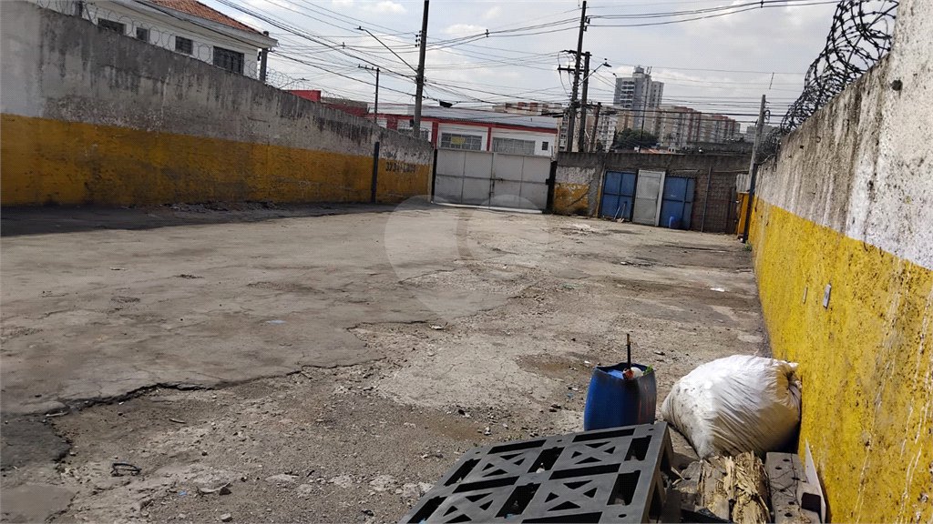 Terreno para alugar em Jardim Ivana, São Paulo, SP