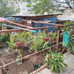Casa Térrea à venda com 5 quartos, sendo 3 suítes,  em Vila Mazzei, São Paulo, SP