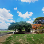 Oportunidade no Condomínio Villa Sapezal com ótima topografia - 360m² – Indaiatuba/SP