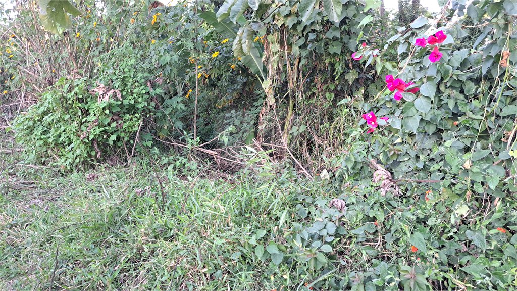 Terreno à venda no condomínio Residencial Bosque da Serra, Mairiporã - SP