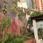 Casa à venda com 3 quartos em Mandaqui, São Paulo, SP