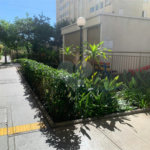 Apartamento à venda com 2 quartos em Pirituba, São Paulo, SP