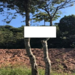 Terreno à venda no condomínio Parque Saint Arthur, São Paulo - SP