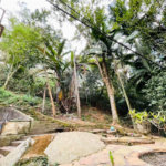 Terreno à venda em Tucuruvi, São Paulo, SP