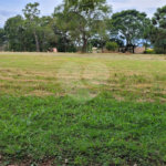 Loteamento Residencial no Condomínio Vila Pinhal do Broa.
