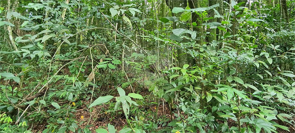 Terreno à venda em Caraguatá, Mairiporã, SP