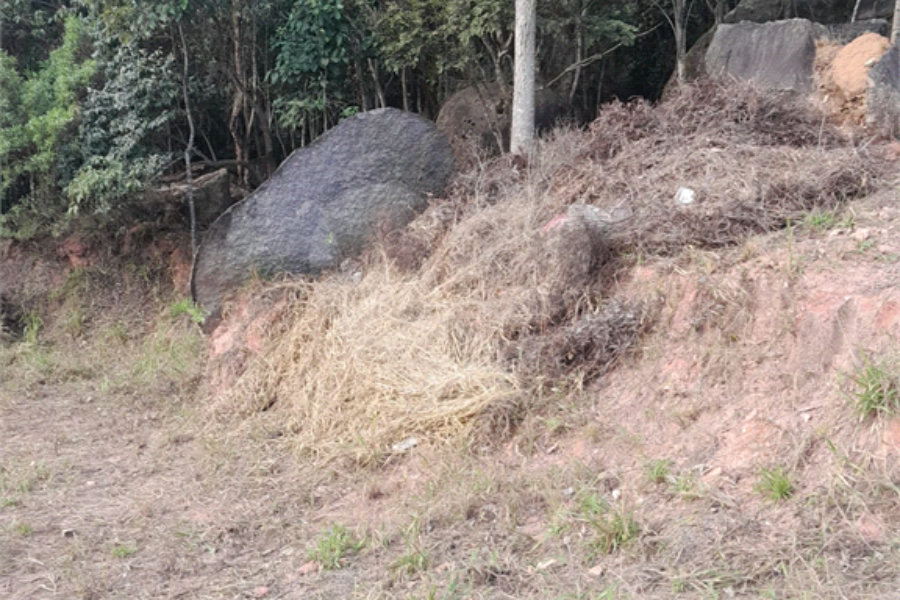 Terreno à venda no condomínio Itaguaçu da Cantareira, São Paulo - SP