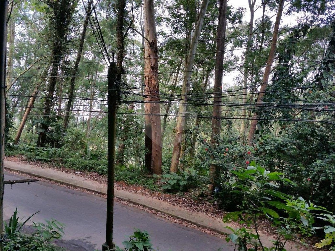 Terreno à venda em Tucuruvi, São Paulo, SP