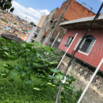 Terreno à venda em Imirim, São Paulo, SP
