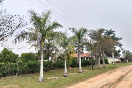 Chácara à venda com 2 quartos, sendo 1 suíte, em Terras de San Thomé, Porto Feliz, SP
