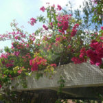 Casa Térrea à venda com 4 quartos, sendo 2 suítes, em Jardim Floresta, São Paulo, SP
