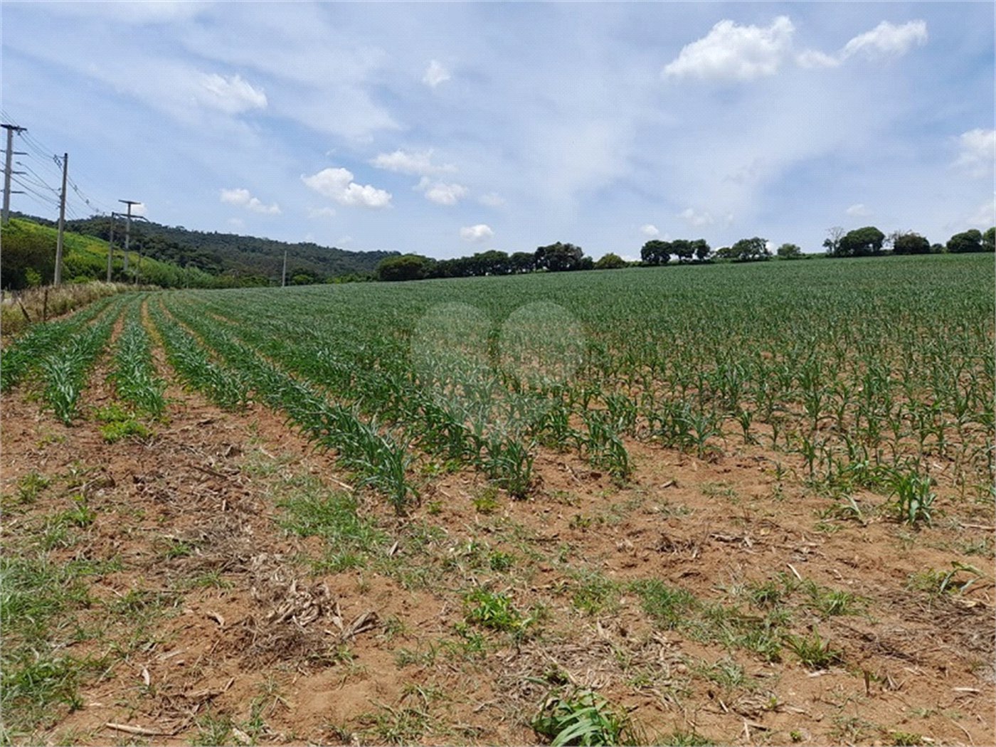 Área de Terra à venda em Paraíso das Aves, Itatiba, SP