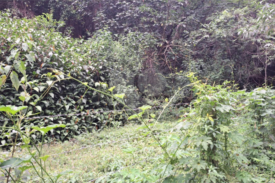 Terreno à venda no condomínio Campos de Mairiporã Gleba 1, Mairiporã - SP