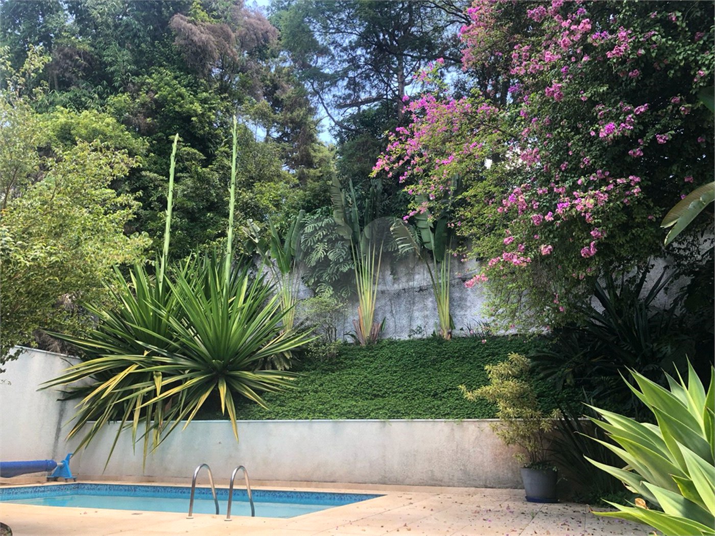 Sobrado à venda com 4 quartos, sendo 2 suítes, em Chácara Monte Alegre, São Paulo, SP