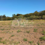 Terreno com 286,00 m² de área total.