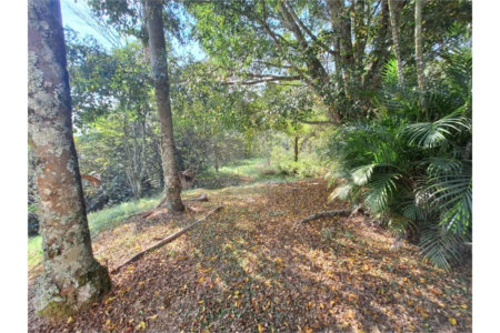 Sítio à venda com 3 quartos, sendo 1 suíte, em Gabriel Piza, São Roque, SP