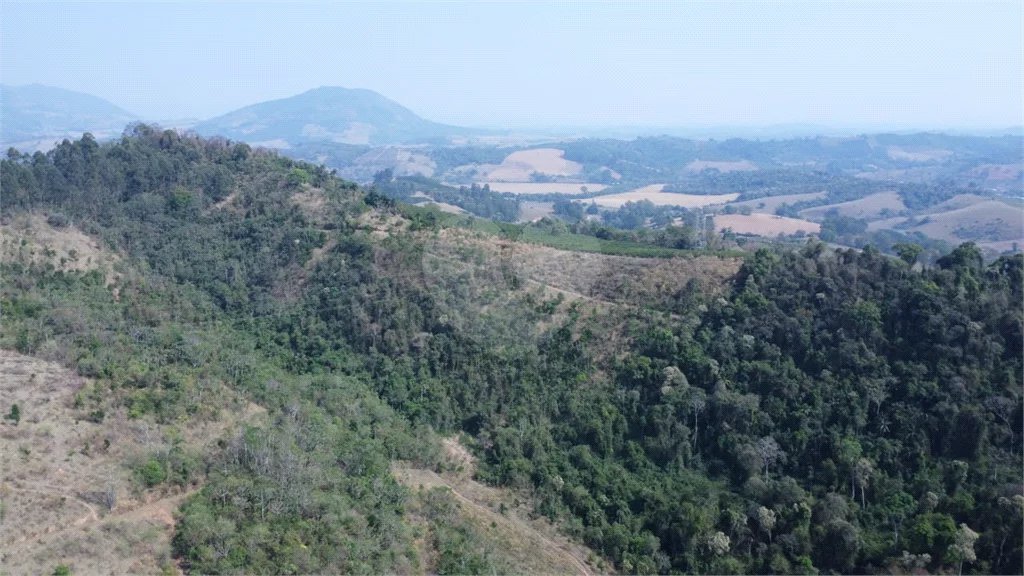 FAZENDA FORTALEZA, Caldas - MG