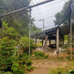 Terreno residencial/comercial com 1245m² a venda ou locação no Alto da Boa Vista, São Paulo - SP
