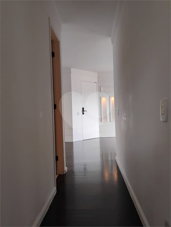 Lindo Apartamento Alto Da Boa Vista