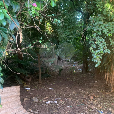 Terreno com 1.000,00 m²