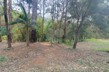 Sítio à venda, 504m² - Ponte Alta Atibaia 48mil² Ref: 1013670