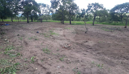 Terreno à venda no Centro, General Salgado, SP