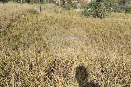 Terreno no Bairro Monterrey