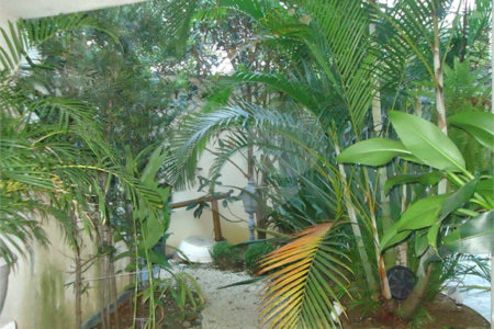 Sobrado com 4 quartos sendo 2 suítes.