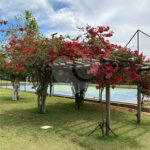 Terreno a venda em Analandia Estancia Cavalinho