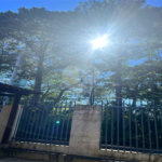 Apartamento no Condomínio Recanto Verde, com 59 m².