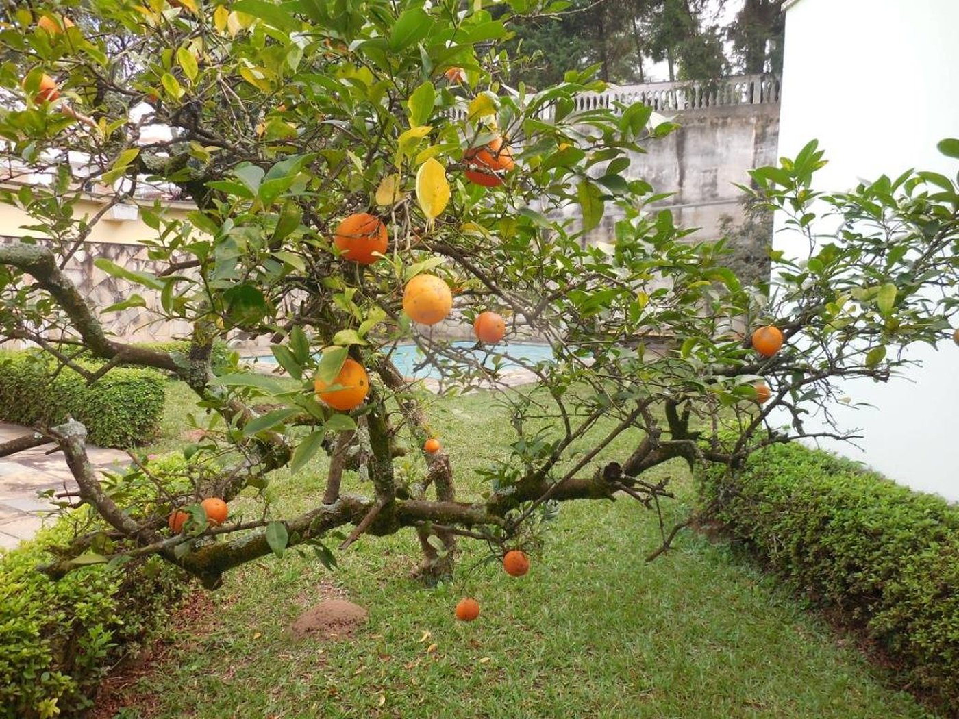JARDIM FRANÇA MARAVILHOSA RESIDENCIA térrea à venda com imenso espaço verde!!