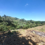 Área rural em Piracaia com 3.289 metros, ótima para chácara, as margens do rio Cachoeira