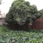 TERRENO A VENDA EM SP SACOMÃ